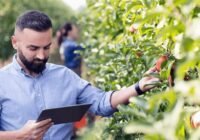 Farm Worker Job in Canada