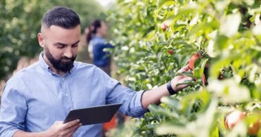 Farm Worker Job in Canada