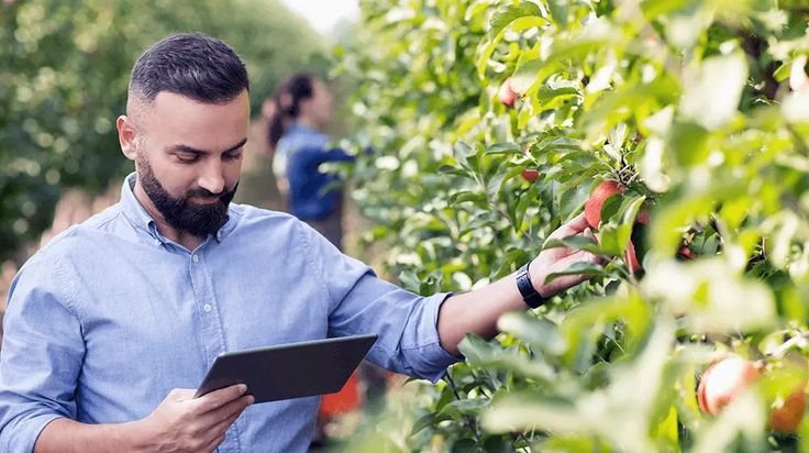 Farm Supervisor Jobs in Canada