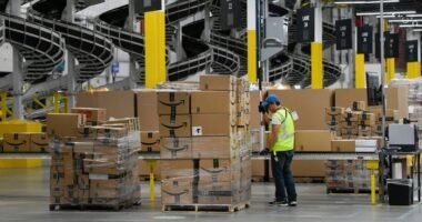 Picker packer Jobs in Saudi Arabia