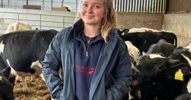 Farm Worker Job in Hong Kong