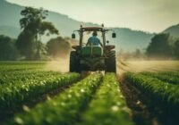 Farm Worker Job in New Zealand