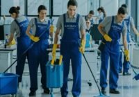 Town Centre Cleaner Job In Auckland