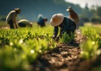 Farm Assistant Job in Australia